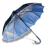 ASTER STRAIGHT UMBRELLA WITH ALL OVER PRINT AND AUTO OPEN