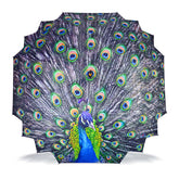 Maple Straight Umbrella With All Over Print And Auto Open
