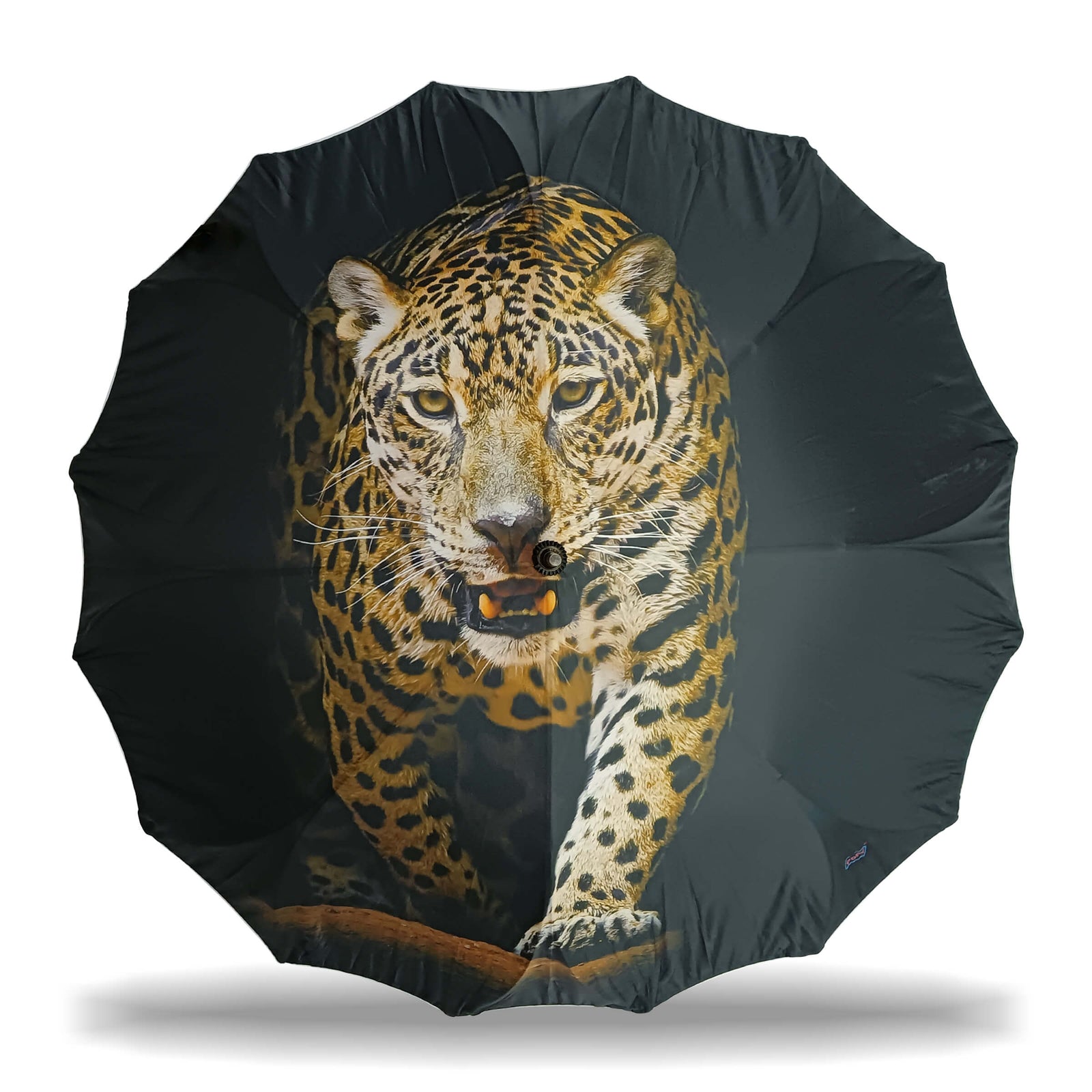 ASTER STRAIGHT UMBRELLA WITH ALL OVER PRINT AND AUTO OPEN