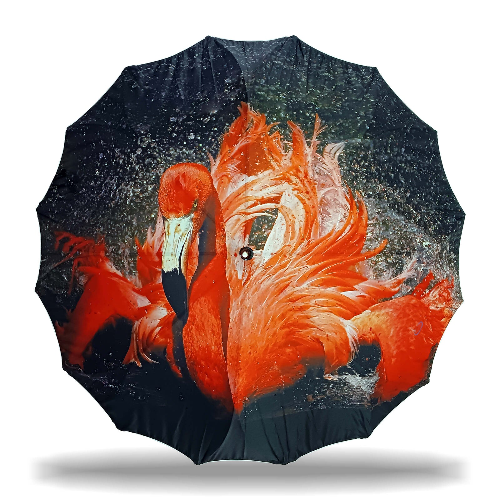 ASTER STRAIGHT UMBRELLA WITH ALL OVER PRINT AND AUTO OPEN