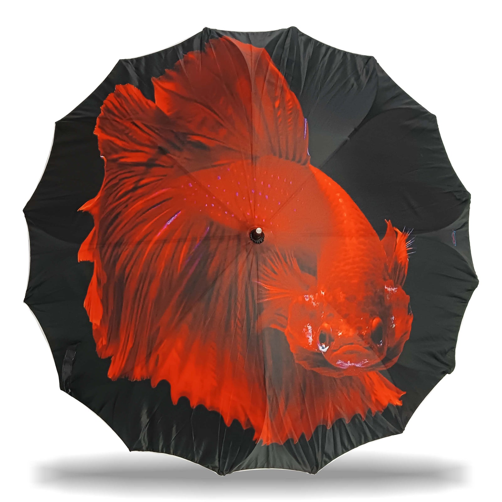 ASTER STRAIGHT UMBRELLA WITH ALL OVER PRINT AND AUTO OPEN