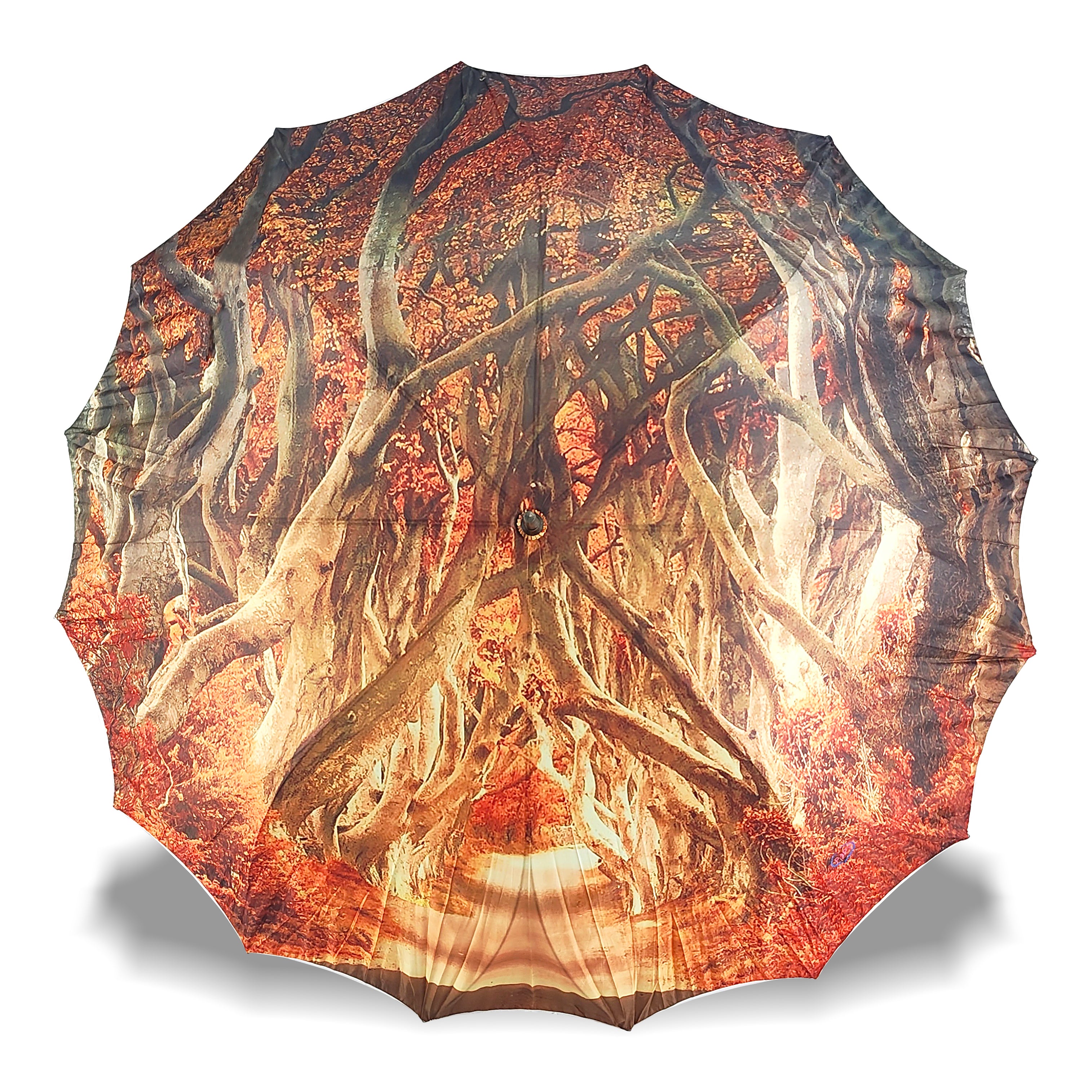 Aster Straight Umbrella With All Over Print And Auto Open